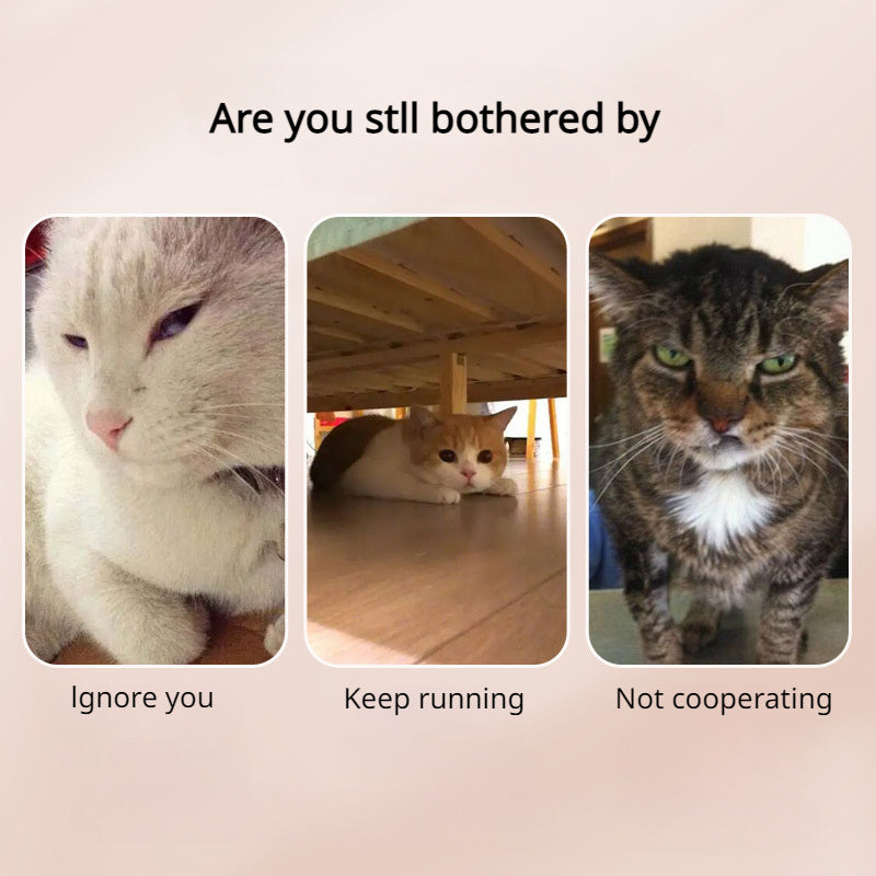 Pet Photo Clip β Capture Perfect Pet Selfies