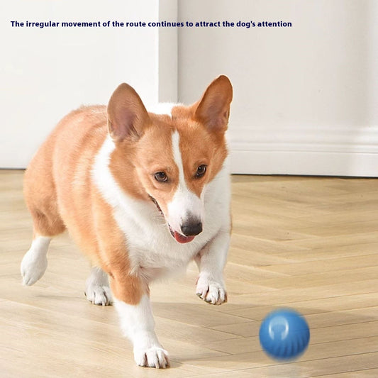Gravity Intelligent Charging Dog Toy – Keep Your Pet Active & Entertained!